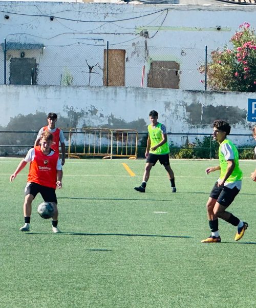 Dom Morandin Trial (1)